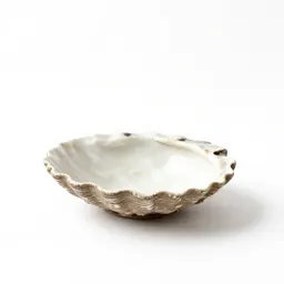 Coquille