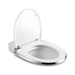 Toilet seat
