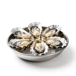 Oyster bar