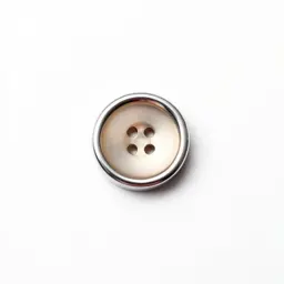 Coat button