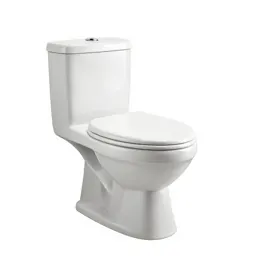 Flushless toilet