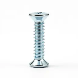 Screw