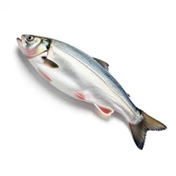 Fish slice