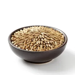 Fennel seed