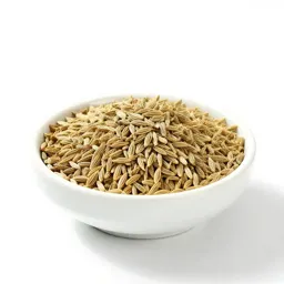 Fennel