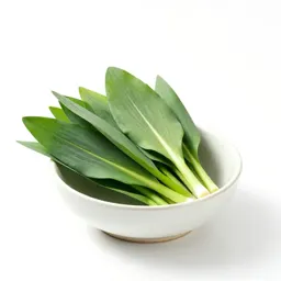 Garlic chive