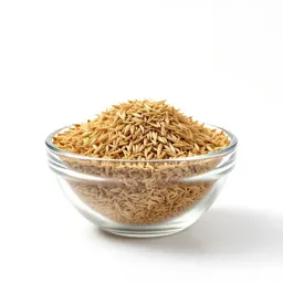 Rye