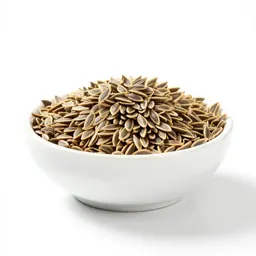 Anise