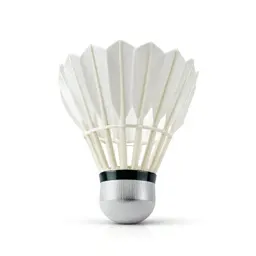 Badminton equipment