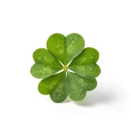 Clover-leaf roll