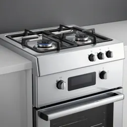 Gas oven