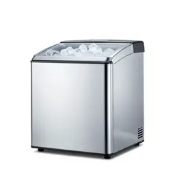 Ice maker