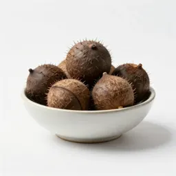 Babassu nut