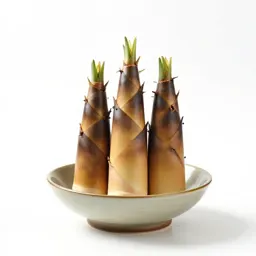 Bamboo shoot