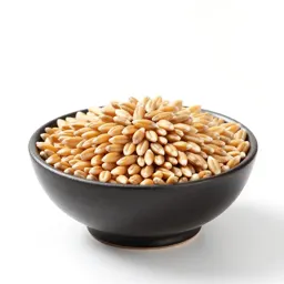 Barleycorn