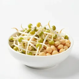 Bean sprout