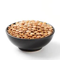 Bean