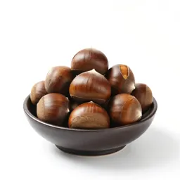Bunya bunya