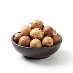 Candlenut