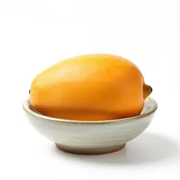 Canistel
