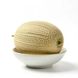 Cantaloup