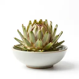 Cardoon