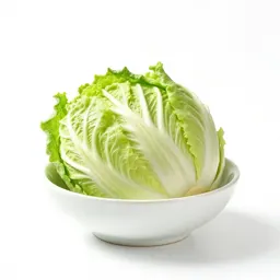 Celtuce