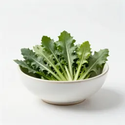 Chicory