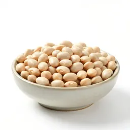 Common bean