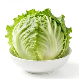 Crisphead lettuce