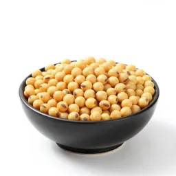 Field soybean