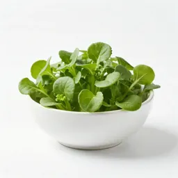 Garden cress