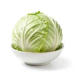 Head cabbage
