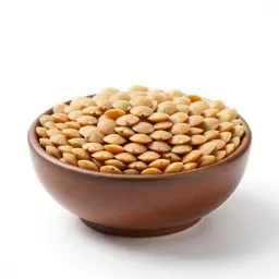 Lentil