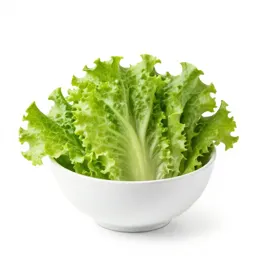 Lettuce