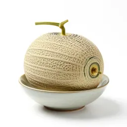 Net melon