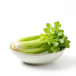Pascal celery