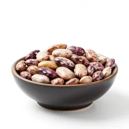 Pinto bean