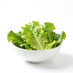 Salad burnet
