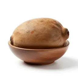 Sapodilla