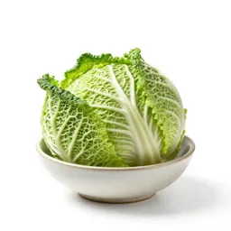 Savoy cabbage