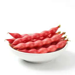 Scarlet runner