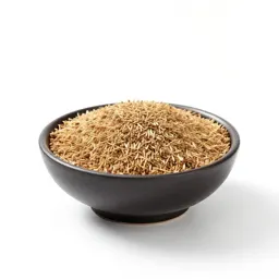 Seed