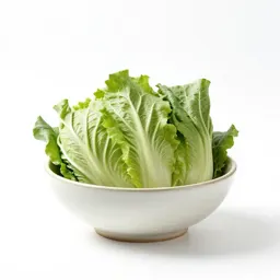 Vegetable