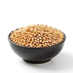 Wheat berry