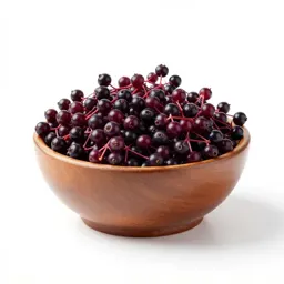 Elderberry
