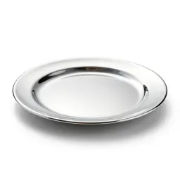 Dinner plate