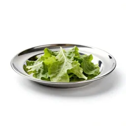 Salad plate