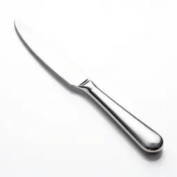 Steak knife