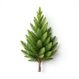 Gowen cypress